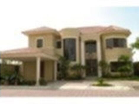 Limpeza de Pedras na Zona Leste